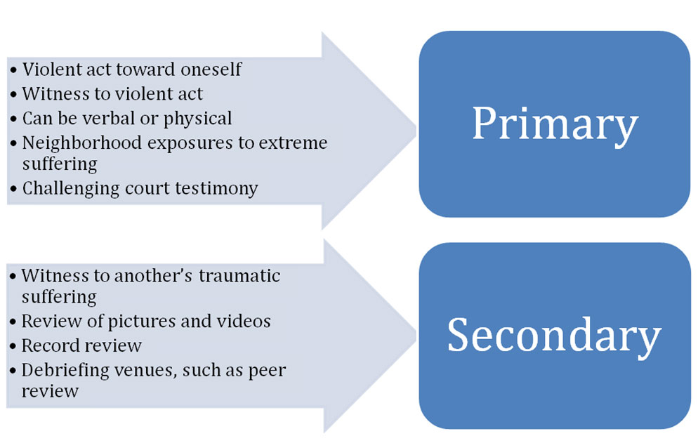 Components of Primary and Secondary Trauma. Further description below